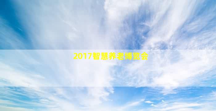 2017智慧养老博览会